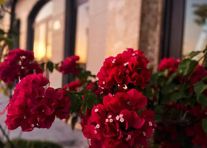 Elysinam Boutique Hotel