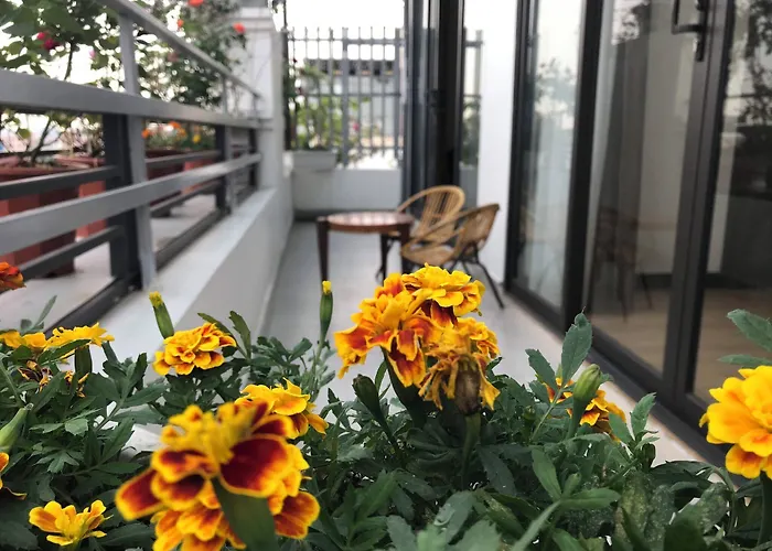 Elysinam Boutique Hotel 3*